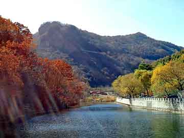 天天彩好彩天天免费，天津排水板